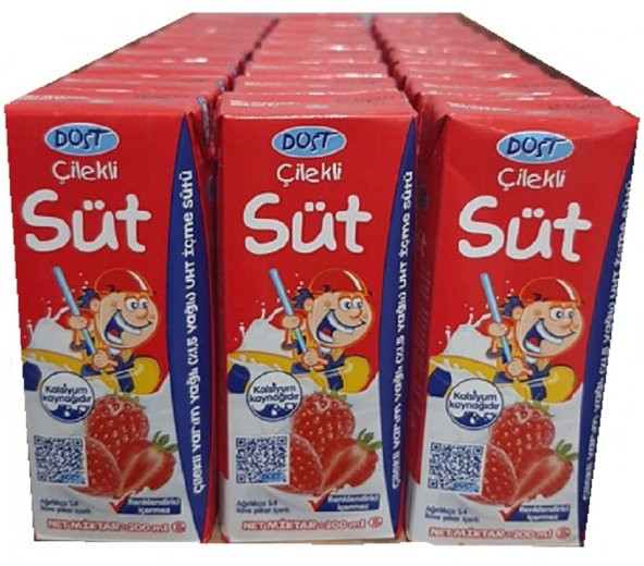 DOST SÜT ÇİLEKLİ 200 ML 27 Lİ PAKET