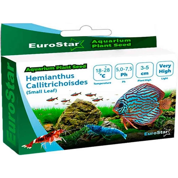 Eurostar Bitki Tohumu Hemianthus Callitrichoides