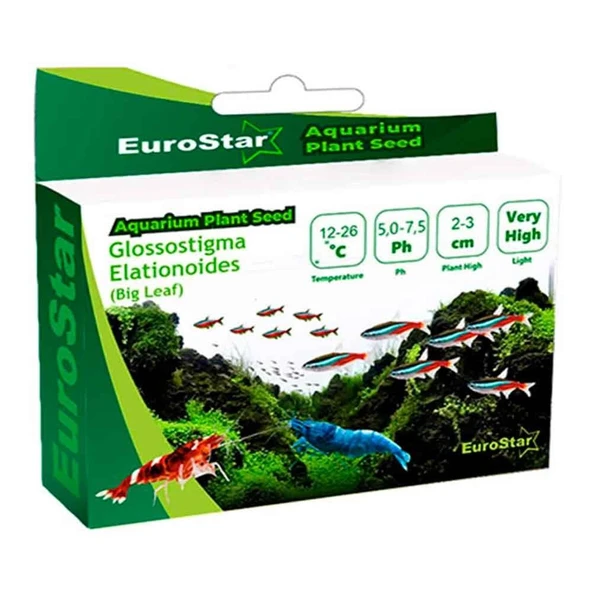 Eurostar Bitki Tohumu Glossostigma Elatinoides