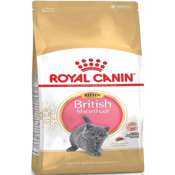Royal Canin British Shorthair Kitten 2 kg ürün görseli