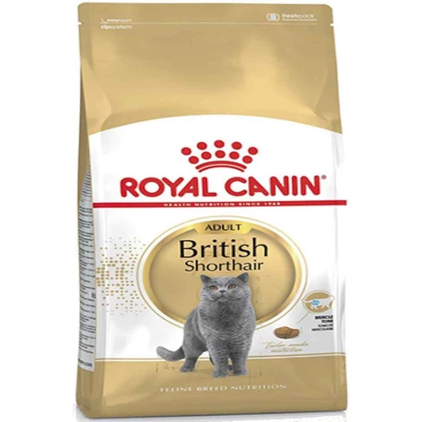 Royal Canin British Shorthair Kedi Maması 10 Kg
