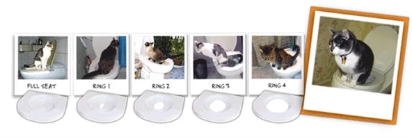 Citi Kitty Kedi Tuvalet Eğitim Seti Klozet Alıştırma Aparatı - Resim 3