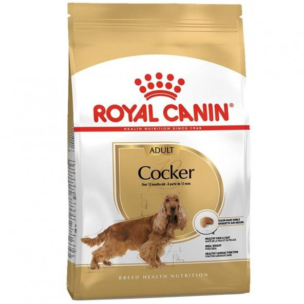 Royal Canin Cocker Spaniel Köpek Maması 3 kg