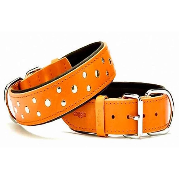 Doggie Yumuşak Dokulu Rivetli Köpek Boyun Tasması Camel SBT-3511 L