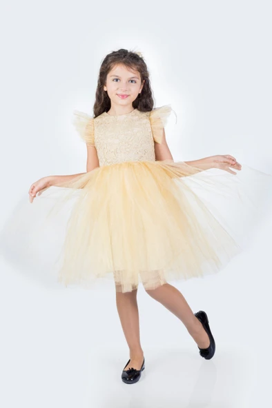 Roza Dantel Tütü Kız Çocuk Abiye Elbise MNK0546 - Resim 4