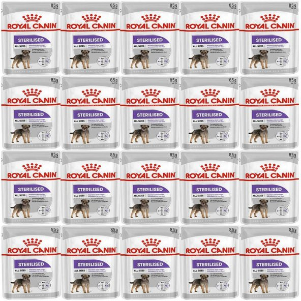 Royal Canin CCN Sterilised Pouch Köpek Yaş Maması 85gr*20 Adet ürün görseli
