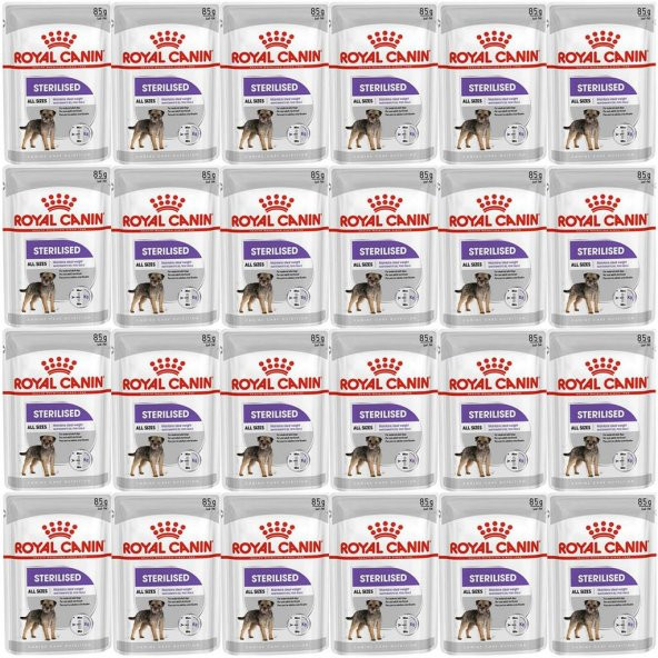 Royal Canin CCN Sterilised Pouch Köpek Yaş Maması 85gr*24 Adet ürün görseli 1