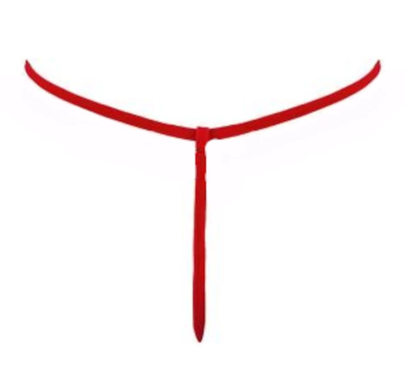 ASM1215 Kadın 3 Lü Karışık Renkler Özel Bölgesi 1 Serit Tanga - 9