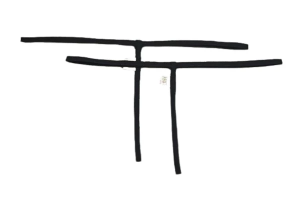 ASM1213 Kadın 2 Li Siyah Özel Bölgesi 1 Serit Tanga