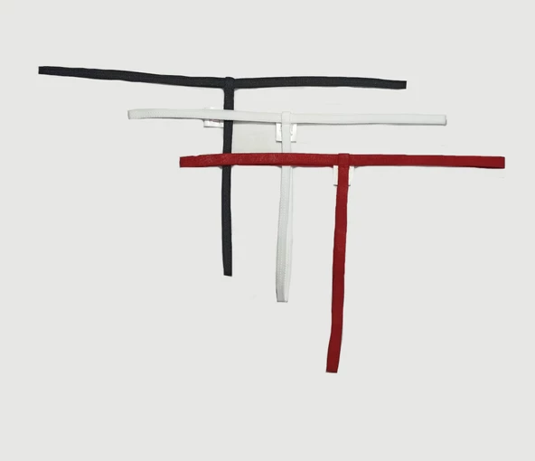 ASM1215 Kadın 3 Lü Karışık Renkler Özel Bölgesi 1 Serit Tanga - 8