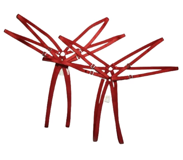 ASM1218 Kadın 2 Li Kırmızı Yıldızımsın Çift Lastik Tanga - 5