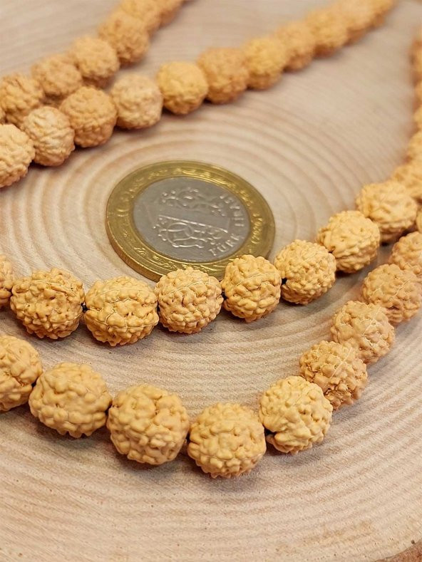 Açık Renk Süt Rudraksha Tohum Dizi 8-9mm aralığı (Mala yapımı için) 108 lik - 2