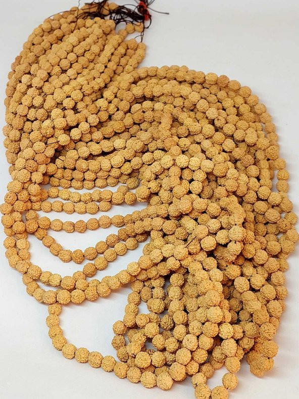 Açık Renk Süt Rudraksha Tohum Dizi 8-9mm aralığı (Mala yapımı için) 108 lik - 3