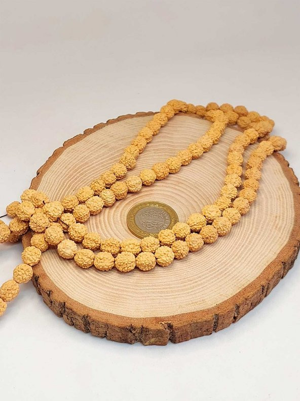 Açık Renk Süt Rudraksha Tohum Dizi 8-9mm aralığı (Mala yapımı için) 108 lik - 4