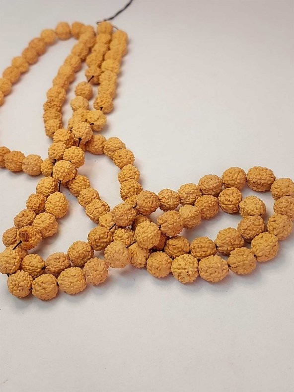 Açık Renk Süt Rudraksha Tohum Dizi 8-9mm aralığı (Mala yapımı için) 108 lik - 5