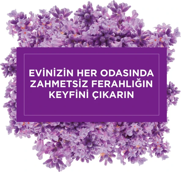 Glade Lavanta Ferahlığı 70 gr Mini Jel Oda Kokusu - 3