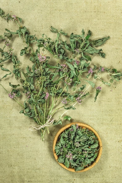 Nane Kurusu Deluxe Seri Organik Lezzetli 100 Gr - 5