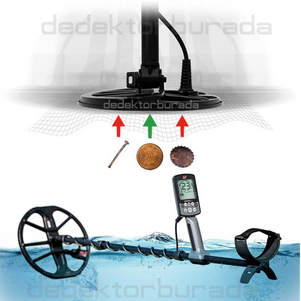 Minelab Equinox 800 Dedektör - 6