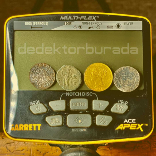 Garrett  Ace Apex Dedektör Çift Başlıklı - Resim 9