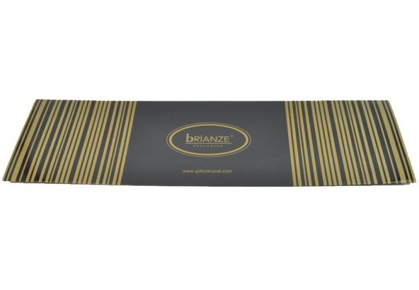 Brianze Lacivert Sarı Motif Desen Kravat - 3