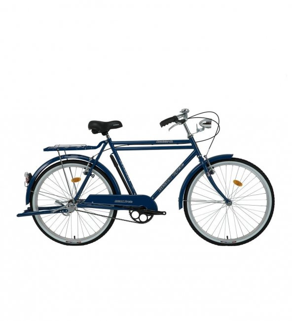Bisan Roadstar Gl 26" Jant Çamurluklu Bagajlı Şehir Hizmet Bisikleti Mavi - 2