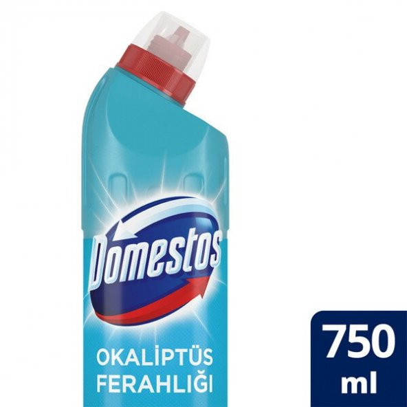 Domestos 750 Ml Okaliptus 5472