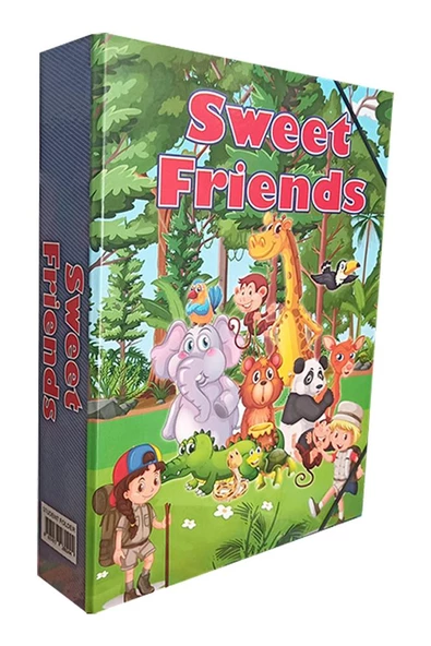 Lastikli Klasör 1 Adet İpli Klasör 32x24x6 cm Okul Öğrenci Klasörü Lastikli Çanta İpli Dosya Kreş Anasınıfı - 8