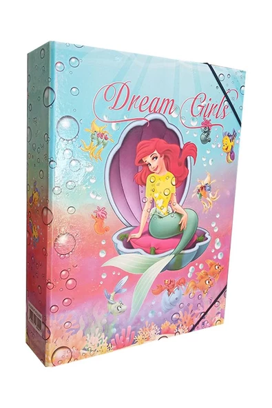 Lastikli Klasör 1 Adet İpli Klasör 32x24x6 cm Okul Öğrenci Klasörü Lastikli Çanta İpli Dosya Kreş Anasınıfı - 4