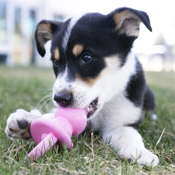 Kong Puppy Diş Kaşıma Emziği Yavru Köpek Oyuncağı Medium 13.5 Cm - 3