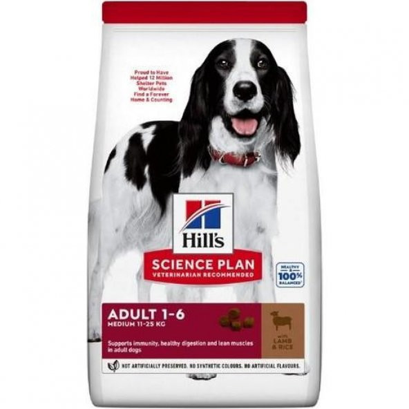 Hills Adult Lamb Kuzu Etli Orta Irk Yetiskin Köpek Mamasi 14 Kg