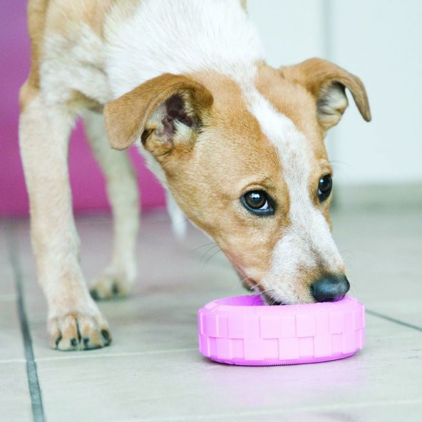 Kong Yavru Köpek Oyuncak Lastik S (Pembe&Mavi) 9cm