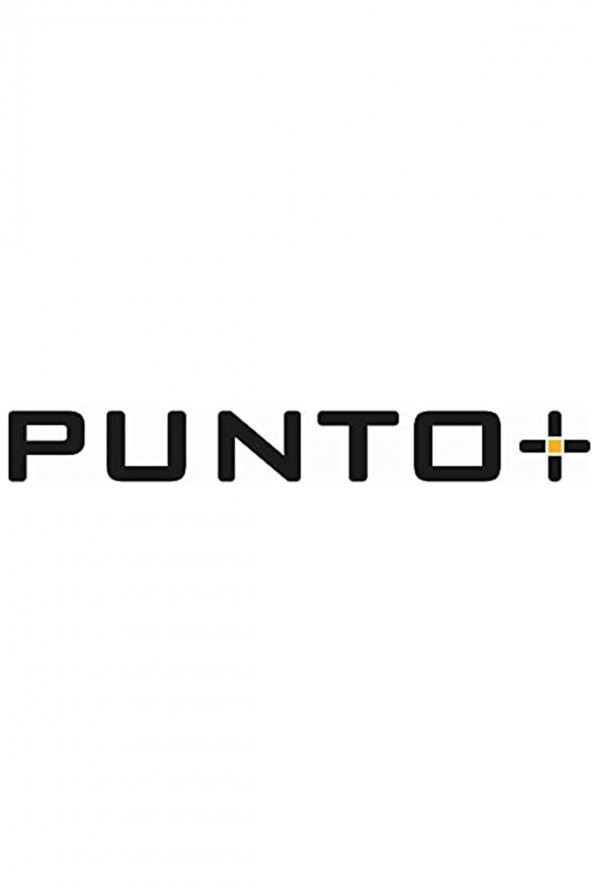 PUNTO Viva A41054 Kuğu Eviye Bataryası Krom [enerji Sınıfı A] - 2