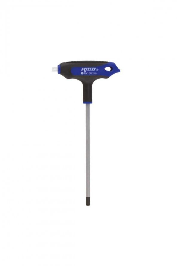 Rico T Tip Allen Düz 2.5x100 Mm Rc5162