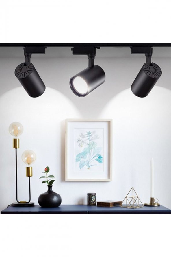 YCL Led Ray Spot 30w Siyah Kasa Beyaz Işık YRS-3000 - 2