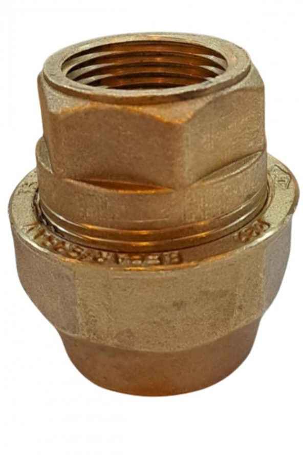 Marka Yeni Tip Sarı Rekor 1”