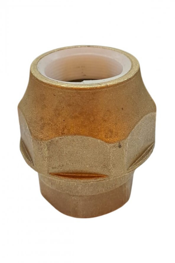 Marka Yeni Tip Sarı Rekor 1” - 2