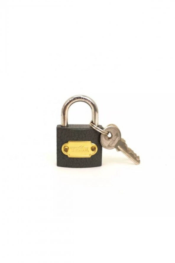 THOR Asma Kilit Gri 32 Mm