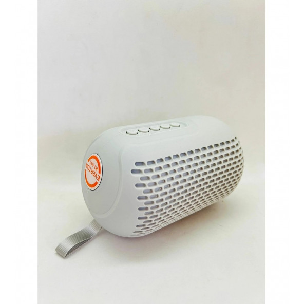 Everton RT-891 Bluetooth / Usb / Sd kart/ Radyo Mini Silindir Müzik Kutusu