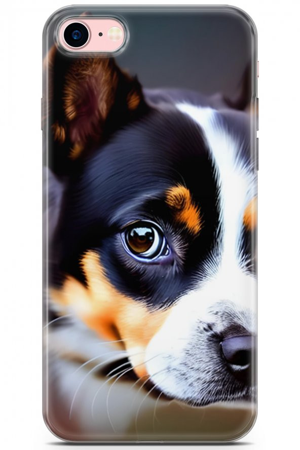 Apple iPhone 7 - 8 Uyumlu Kılıf Dogs 11 İsviçre Bernese 4K Baskılı Kılıf Siyah