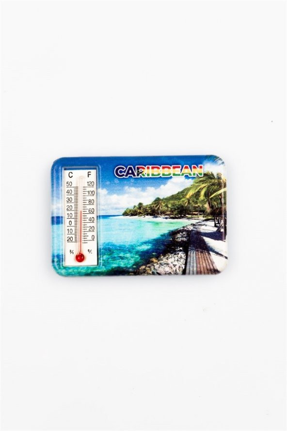 Karayipler Temalı Dereceli Magnet - 3