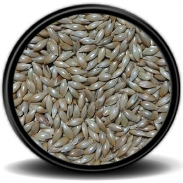 Açık Sade Aspur Kanarya Yemi