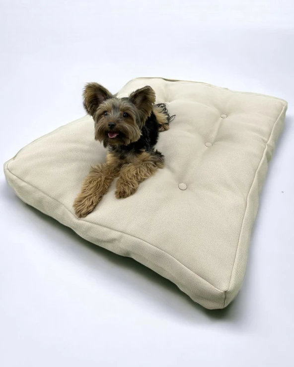 Creamy Cream 003 Kedi Köpek Minderi Yatağı