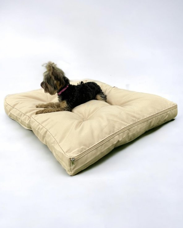 Krema Creamy 009 Kedi Köpek Minderi Yatağı - 3