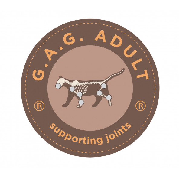 Promama Balıklı GAG Eklem Destekli Yetişkin Kısır Kedi Maması 1,5 KG - 452708 - Resim 3