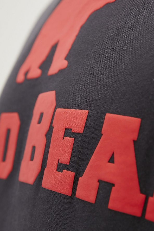 BAD BEAR TEE KING ERKEK BATTAL TSHIRT - 3