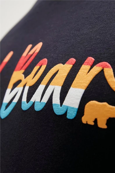 BAD BEAR MANUSCRIPT CREWNECK ERKEK SWEATSHIRT - 5