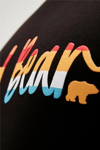 BAD BEAR MANUSCRIPT CREWNECK ERKEK SWEATSHIRT - 10