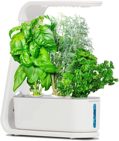 AeroGarden Topraksız Kapalı Bahçe, Filiz ve Gurme Otlar Tohum Kiti - Beyaz