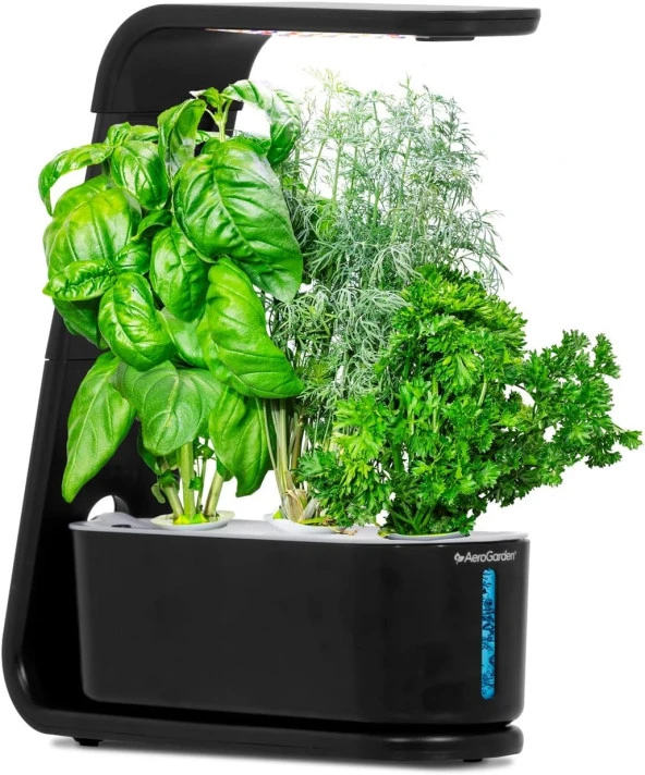 AeroGarden Topraksız Kapalı Bahçe, Filiz ve Gurme Otlar Tohum Kiti - Siyah