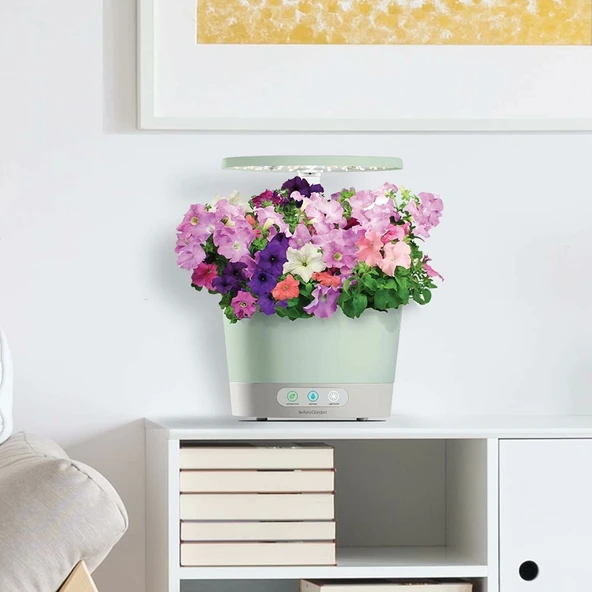 AeroGarden Harvest 360 Kapalı Bahçe Topraksız - LED Büyüme Işığı - 2